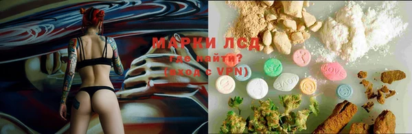 каннабис Гусиноозёрск